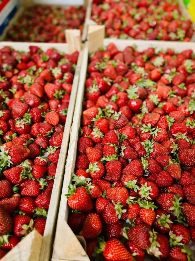Jahody - Frutti