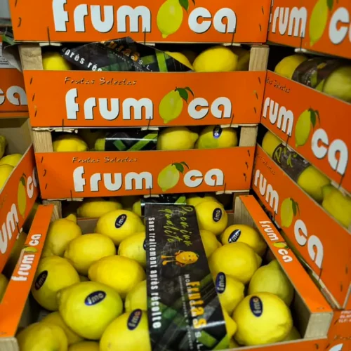 Citróny - Frutti